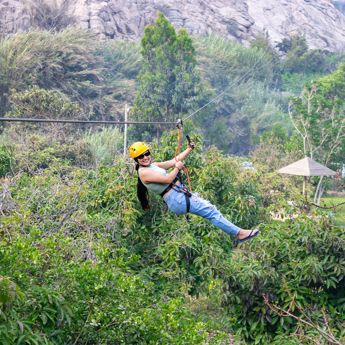 canopy