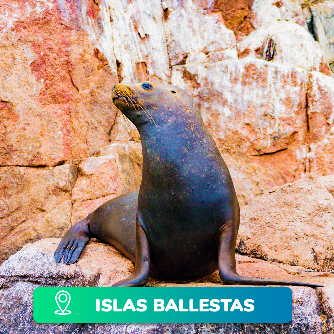 islas ballestas